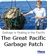 For years we�ve been reading about a patch of garbage the size of Texas floating in the middle of the Pacific Ocean, ingeniously dubbed the Great Pacific Garbage Patch. 